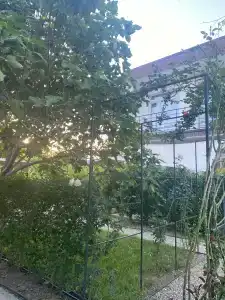 FeegTree - 36