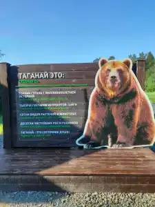 Приют Центральная усадьба - 96
