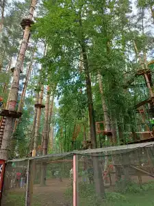 Лебяжье - 32