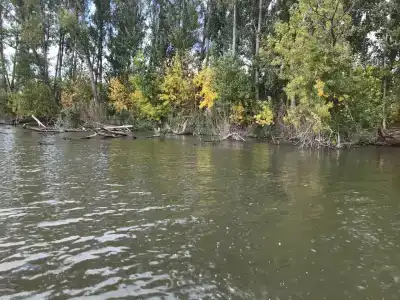 Хуторок - 20