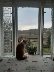 Вечера на Хуторе - 34