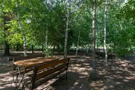 Волжанка - 46