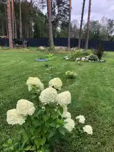 Дом на Вуоксе - 27
