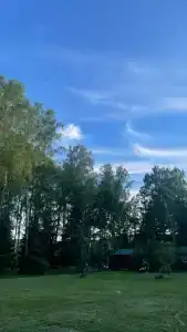ГаммаСофт - 37