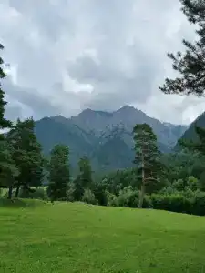 Эдельвейс - 15