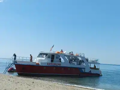 Для вас - 12