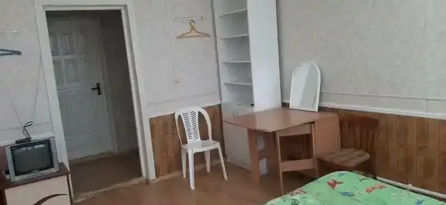 Дельфин - 14