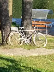 Зелёная роща - 66