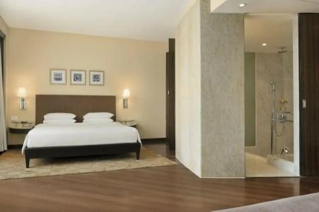 Hyatt Regency Mumbai International Airport - 32