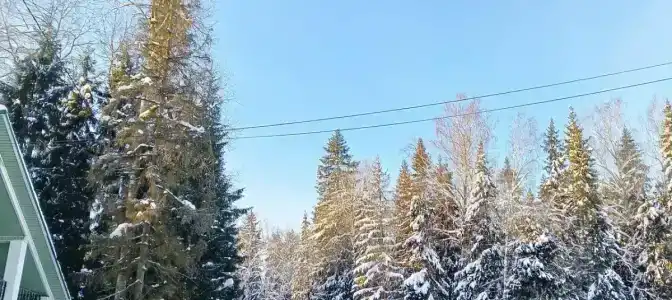 Искра - 51