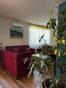 Pfa - Isola d'Elba - 14