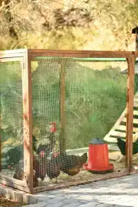 1774 Kazdagi Termal Butik Otel - 15