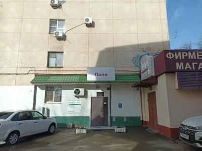 Пони - 13