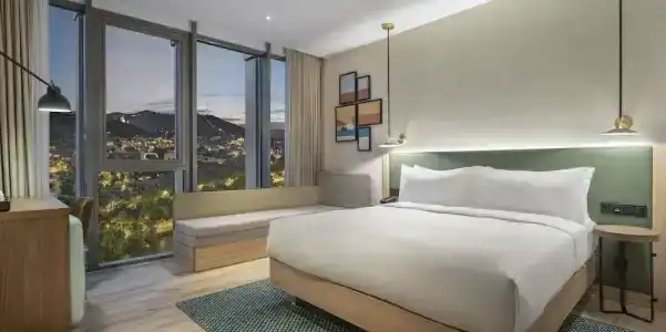 Hilton Garden Inn Tbilisi Riverview - 89