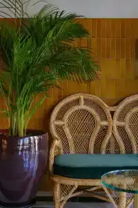 Bazzar Boutique - 23