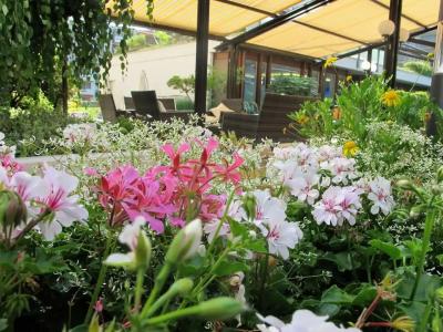 Crowne Plaza züRich, An Ihg - 7