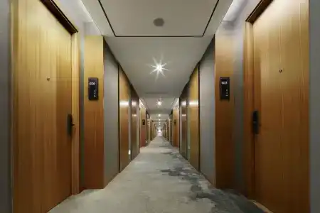 Xanale - 10