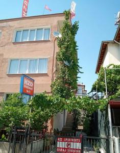 Hzd Hostel - 1