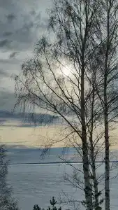 В гостях у сказки - 36