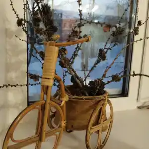 Сарвара - 11
