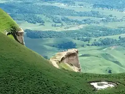 Приют Дара - 2