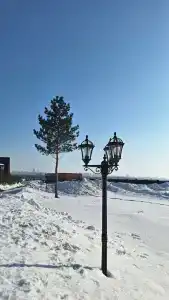 Алексеевская - 8