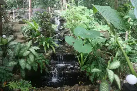 Anyavee Ban Ao Nang Resort - 5