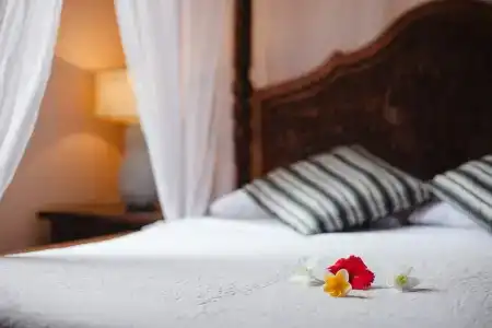 Honeymoon - 4