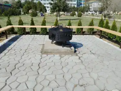 Электра Холидей - 51