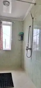 Тюльпан - 40