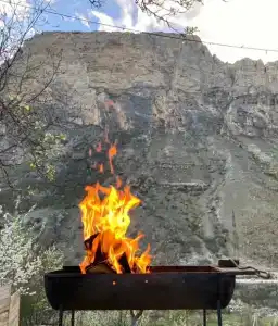 Сарай - 29