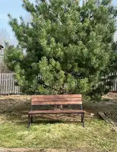 Чертицкий Залив - 5