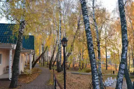 Усадьба Отрада - 18