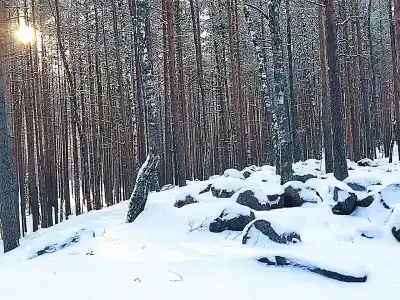 База Сокол, озеро Глубокое - 81