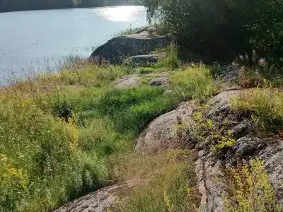 Форт Верный - 91