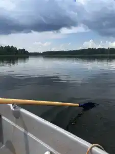 Сойма Парк - 46