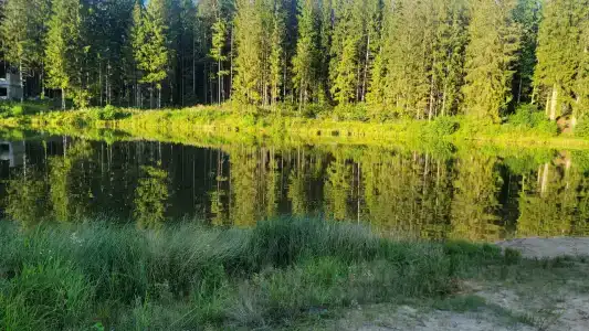 Прудок - 48
