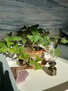 Лувеньга река - 16