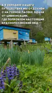 Медвежий угол-2 - 11