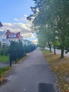 903 - 29