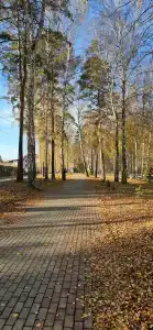 Полет - 10