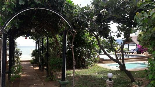 Papillon Resort - 22