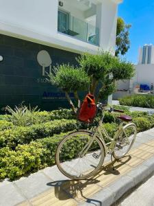 Liv Urban Larnaca - 31