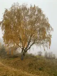 Берег Моря Про - 18