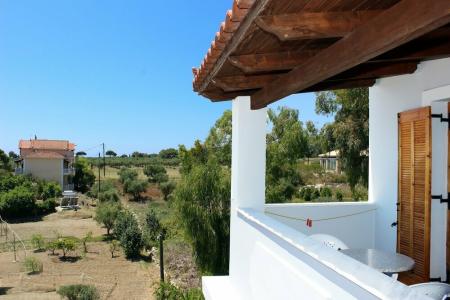 Zante Yliessa - 25