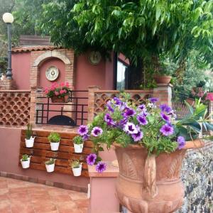 b&b Villa Vittoria - 7