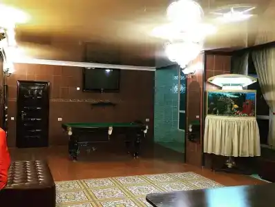 Меценат - 8
