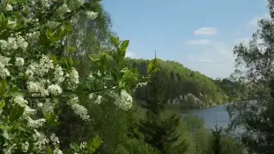 Снегирёвская усадьба - 8