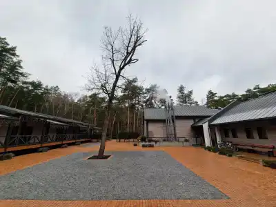 Шале Гринвуд - 23