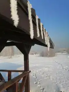 Бабушкина дача - 31